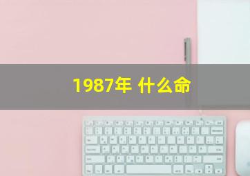 1987年 什么命